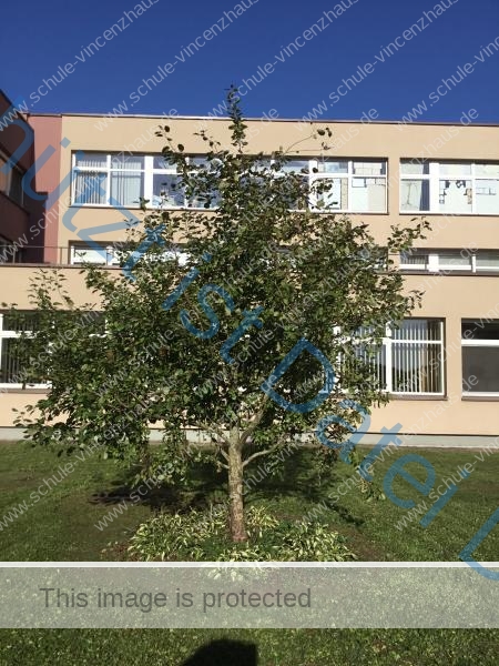 Schüler besuchen Partnerschule in Litauen